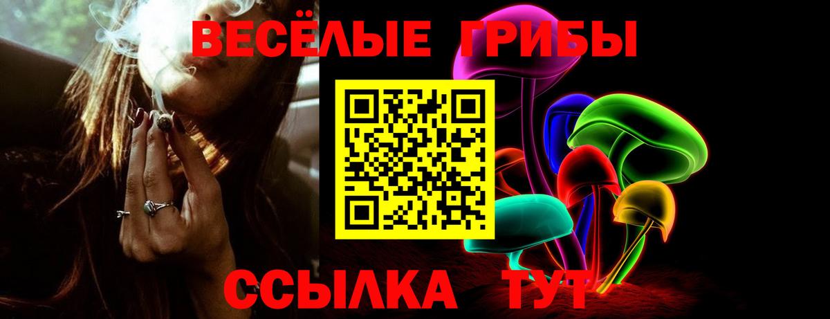 Ревда  Псилоцибиновые грибы MAGIC MUSHROOMS  Вход с VPN 